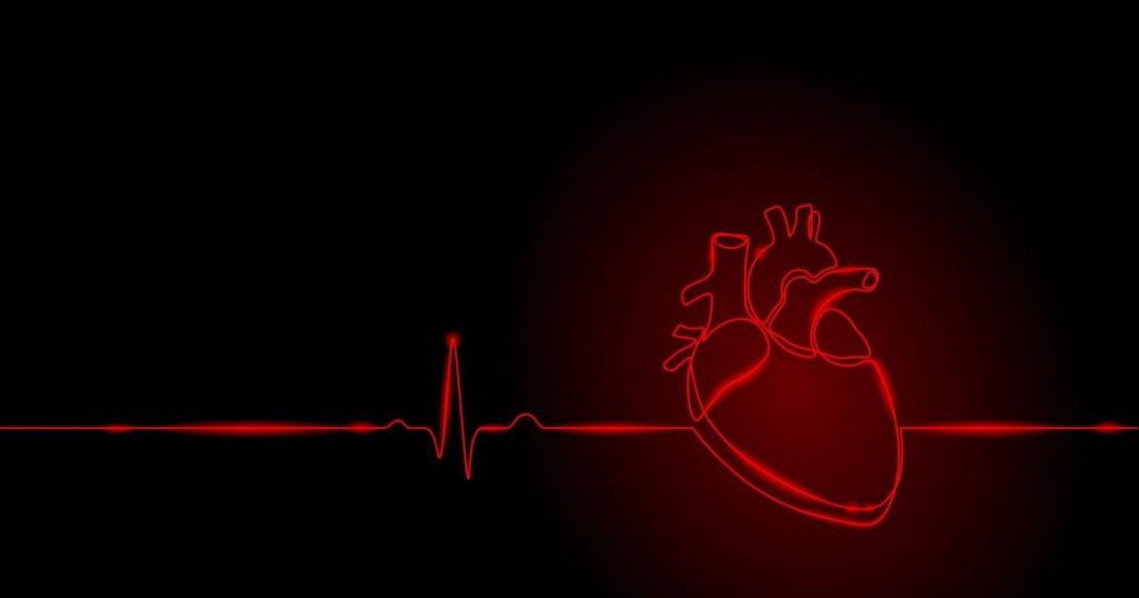 معرفی و بررسی ۸ کاربرد صدا در صنعت پزشکی 2 سیگنال صوتی در تصویر برداری مربوط به قلب
