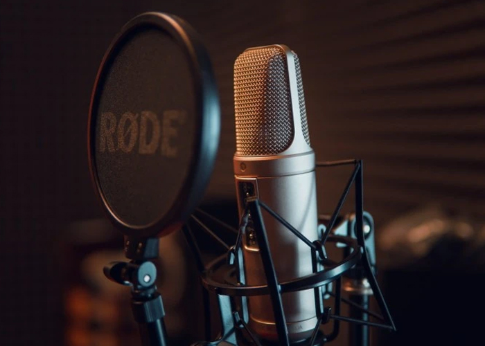 انواع میکروفون در استودیو و کاربرد آنها در گویندگی و ضبط صدا 2 condenser mic